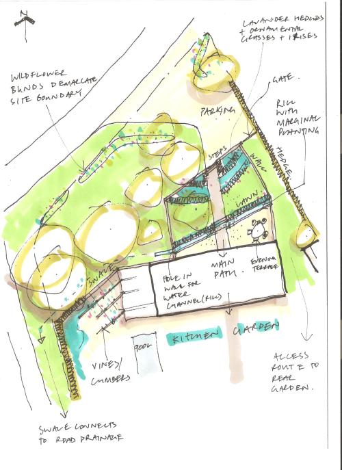 Initial landscaping ideas for the front and entrance to the house