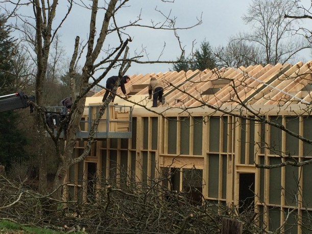 Fixing the pavatex pavatex